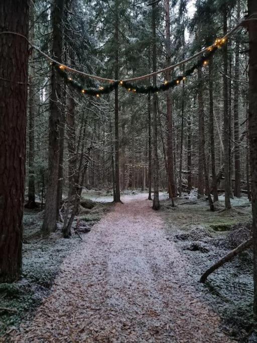 Treetop Ekne - Hytte I Skogen Med Hengebru Hotel Levanger Eksteriør billede