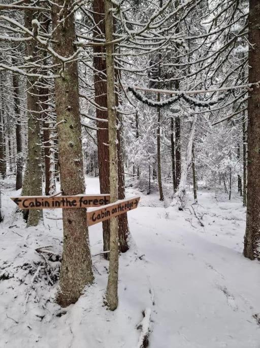 Treetop Ekne - Hytte I Skogen Med Hengebru Hotel Levanger Eksteriør billede