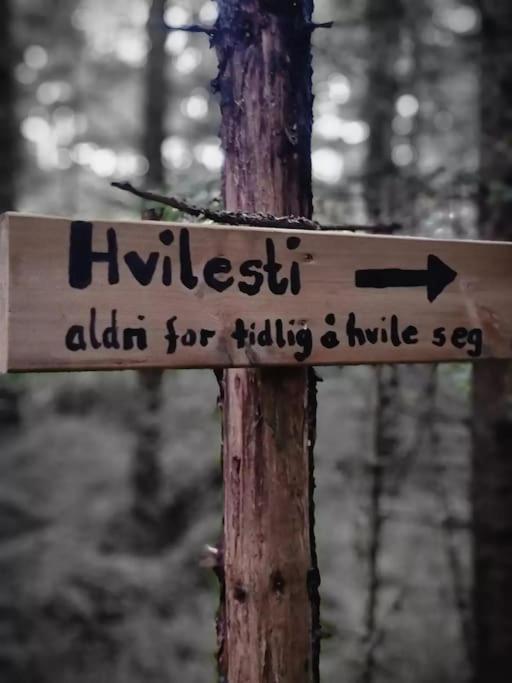 Treetop Ekne - Hytte I Skogen Med Hengebru Hotel Levanger Eksteriør billede