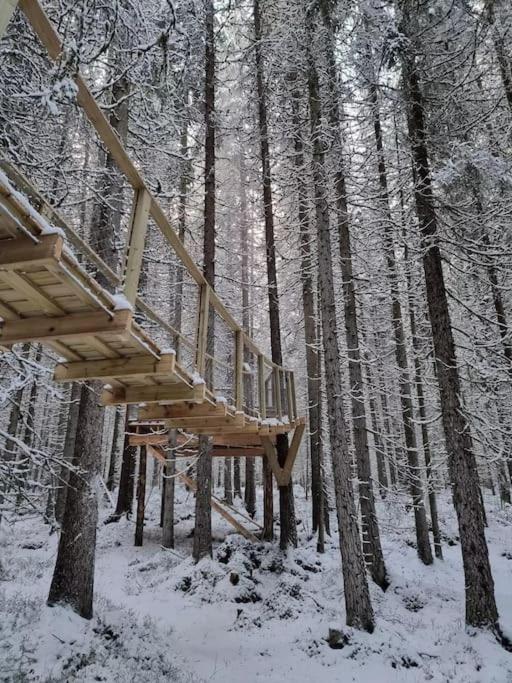 Treetop Ekne - Hytte I Skogen Med Hengebru Hotel Levanger Eksteriør billede
