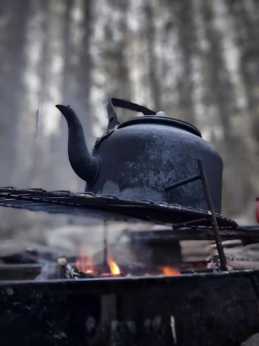 Treetop Ekne - Hytte I Skogen Med Hengebru Hotel Levanger Eksteriør billede