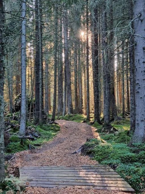 Treetop Ekne - Hytte I Skogen Med Hengebru Hotel Levanger Eksteriør billede