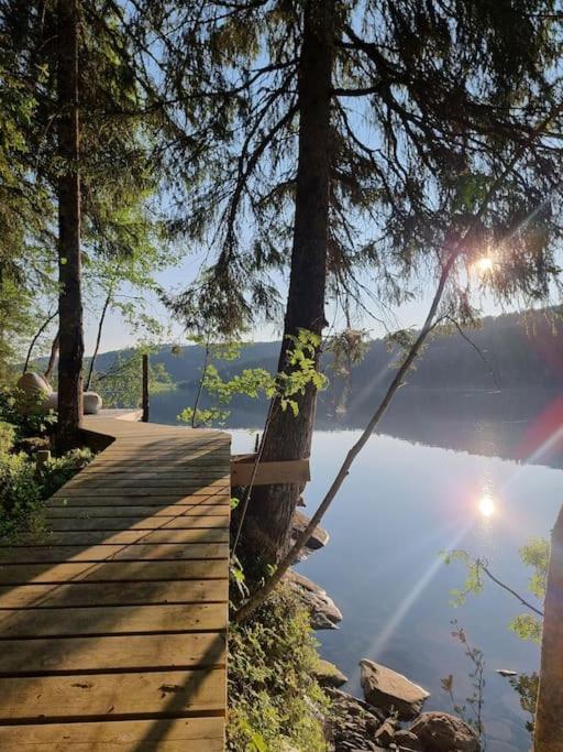 Treetop Ekne - Hytte I Skogen Med Hengebru Hotel Levanger Eksteriør billede