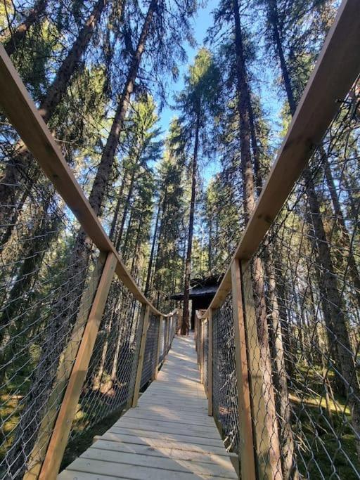 Treetop Ekne - Hytte I Skogen Med Hengebru Hotel Levanger Eksteriør billede