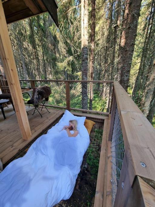 Treetop Ekne - Hytte I Skogen Med Hengebru Hotel Levanger Eksteriør billede