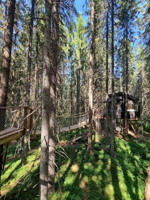 Treetop Ekne - Hytte I Skogen Med Hengebru Hotel Levanger Eksteriør billede