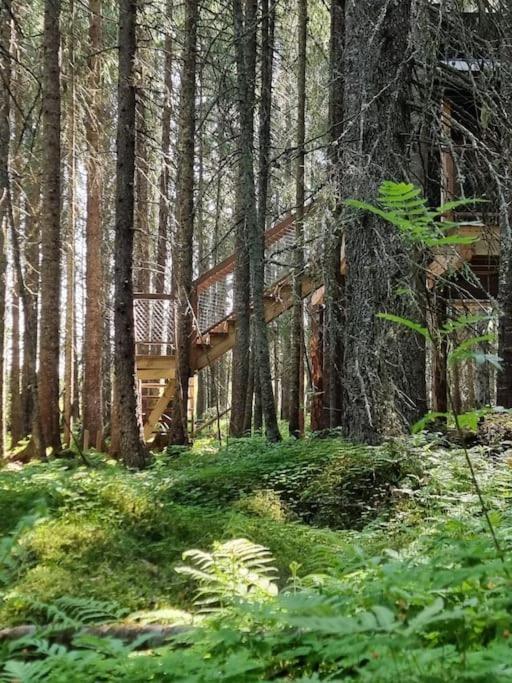 Treetop Ekne - Hytte I Skogen Med Hengebru Hotel Levanger Eksteriør billede